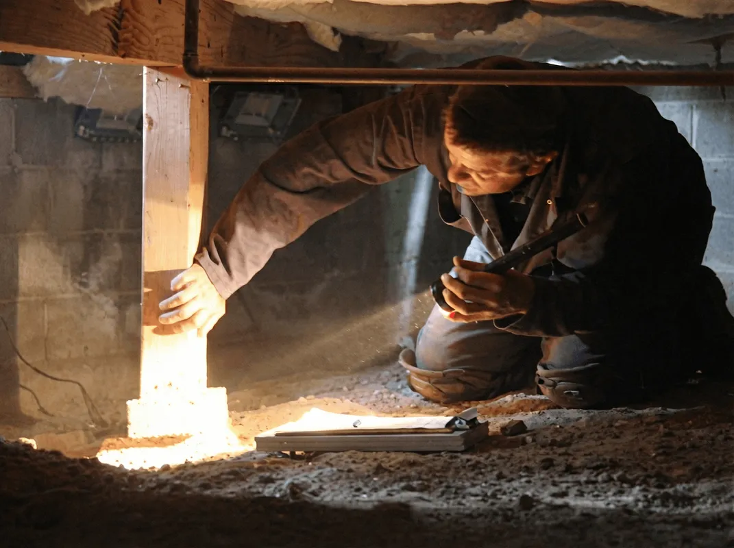 A professional inspecting wooden beams under the floor of a structure in Syracuse, NY